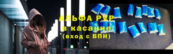 СК Алексин