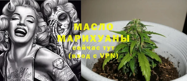 СК Алексин