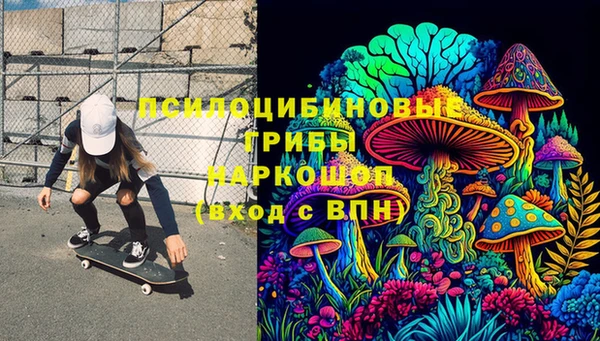 СК Алексин