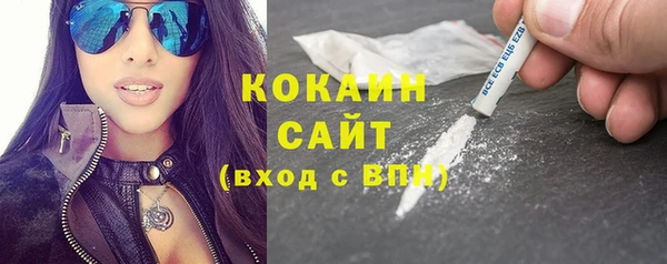 СК Алексин