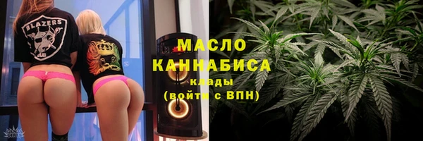 СК Алексин
