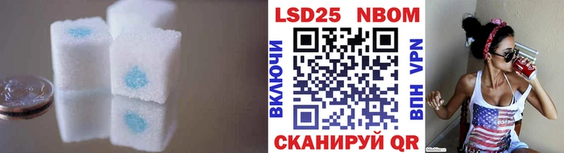 где найти   Петровск  KRAKEN ссылка  Лсд 25 экстази ecstasy 