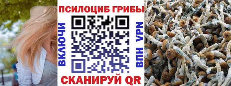 Галлюциногенные грибы мицелий  Петровск 